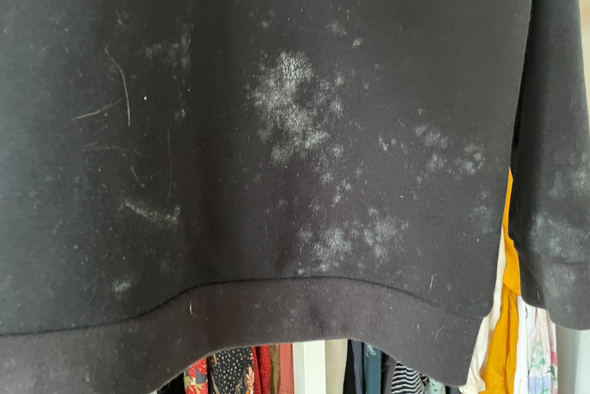 close up of mouldy jumper