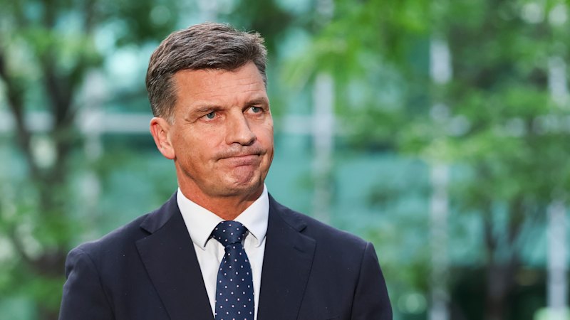 Taylor opens door to One Nation deal – but Wong will test him on Hanson first