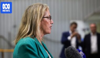 WA government fights to keep current GST deal amid cost blowouts, seeks mining exemption