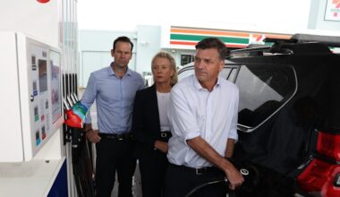 Angus Taylor calls for fuel excise cut as Albanese rejects reduction
