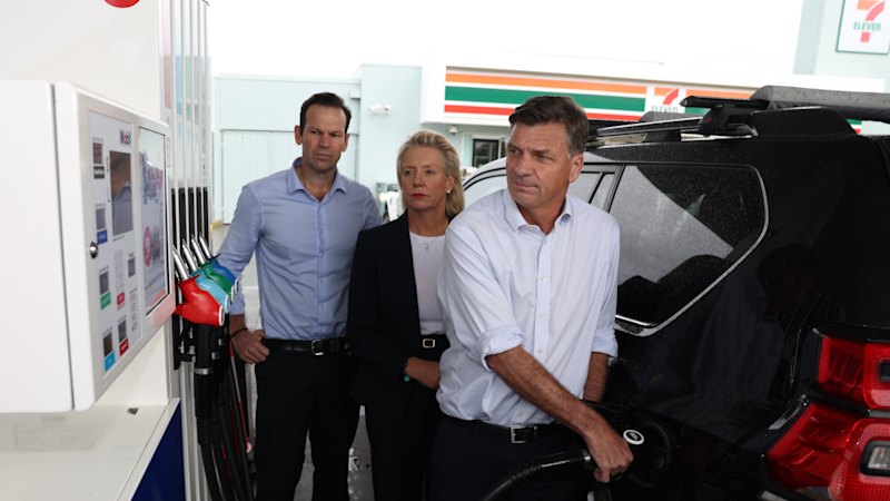 Angus Taylor calls for fuel excise cut as Albanese rejects reduction