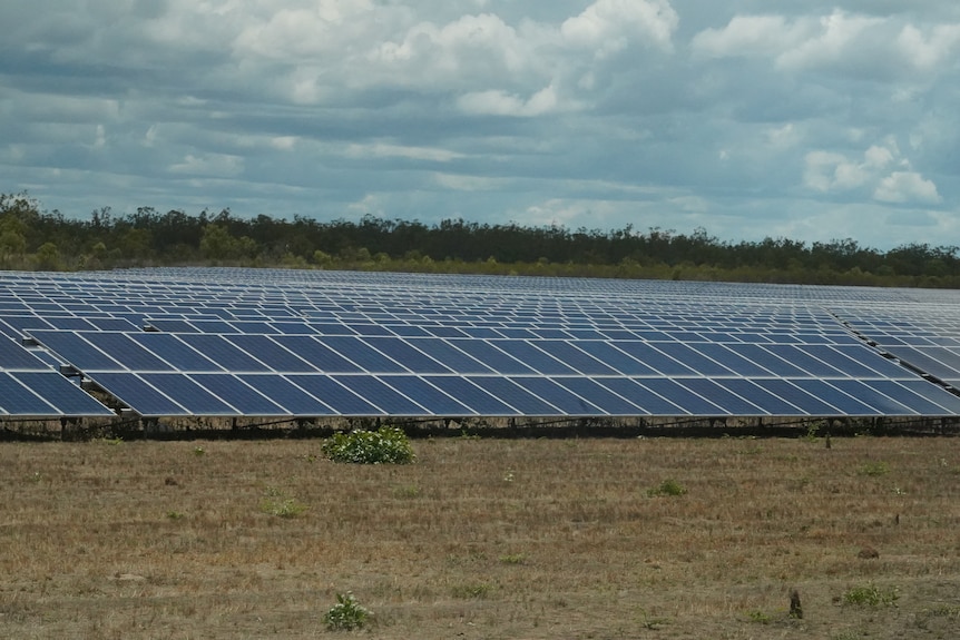 A large bank of solar panels on a rural property.