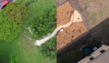 The growing movement to plant dense forests in urban areas