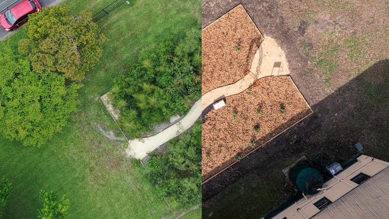 The growing movement to plant dense forests in urban areas