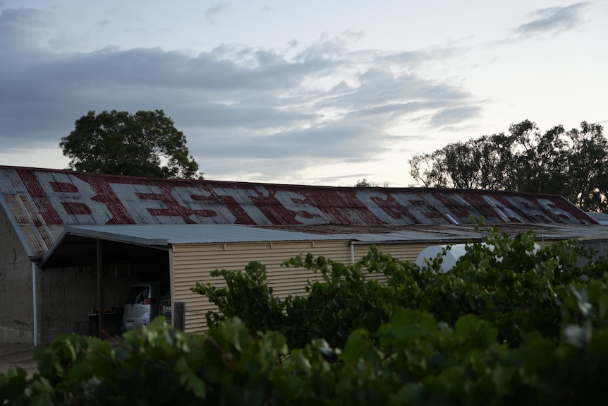 A shed with a roof reading Best's Cellars