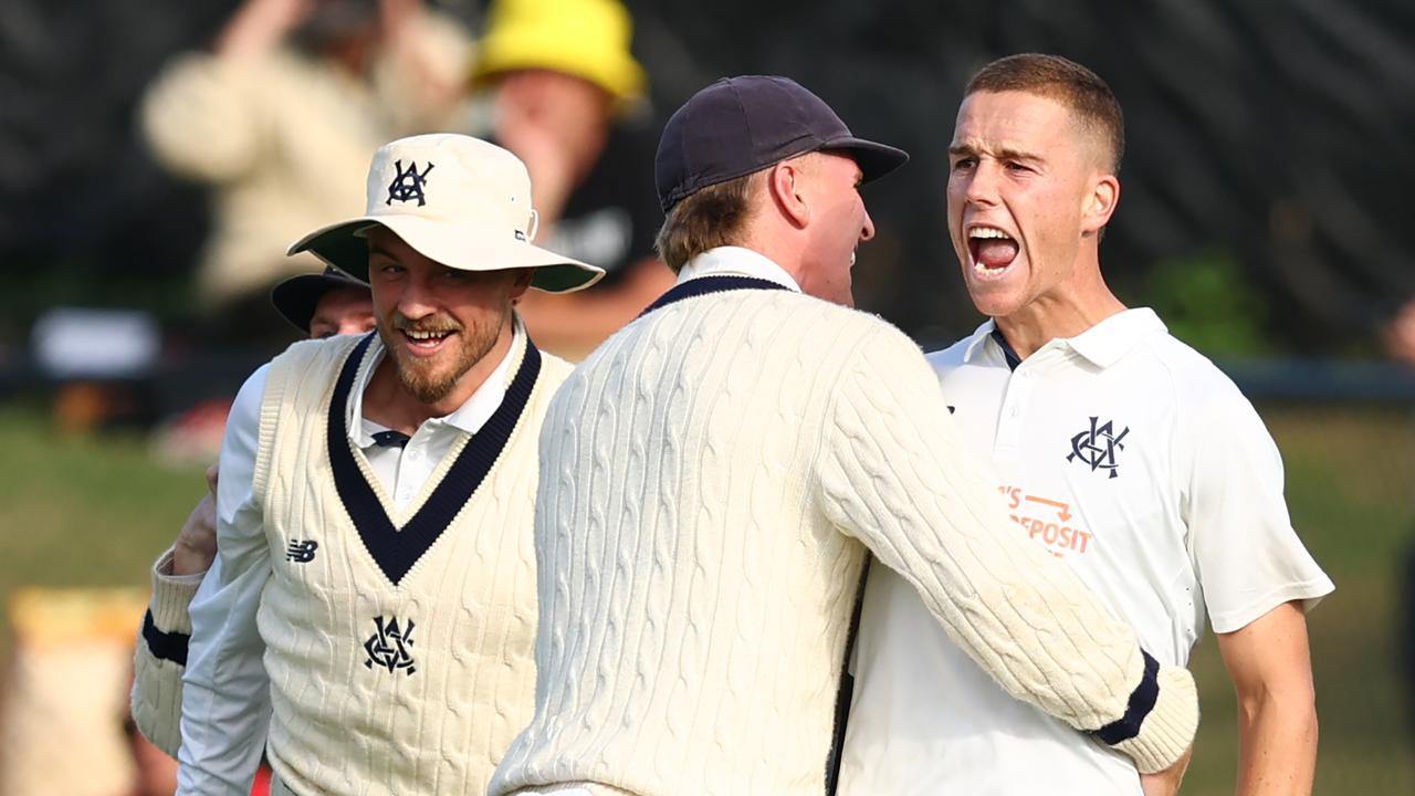 Victoria vs South Australia scorecard, highlights, Mitch Perry super sub, wickets