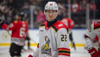 William Wallinder, Red Wings