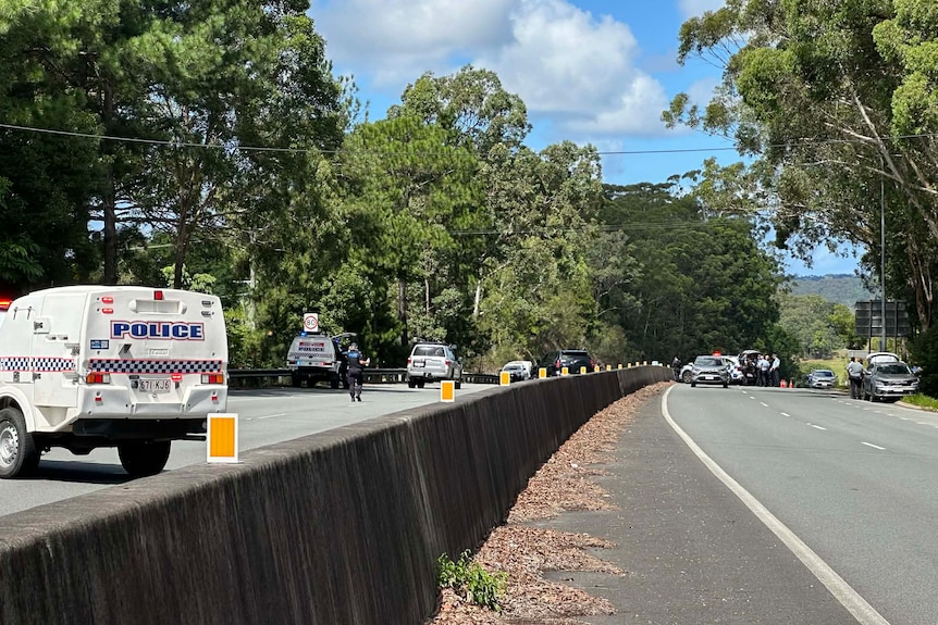 Police cars on road