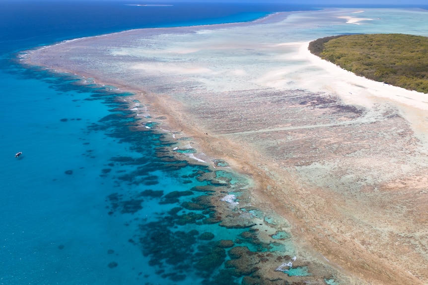 Drone image of island with low tide and clear blue water 