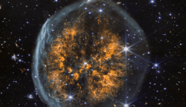 Webb Studies Cranium Nebula | Mirage News