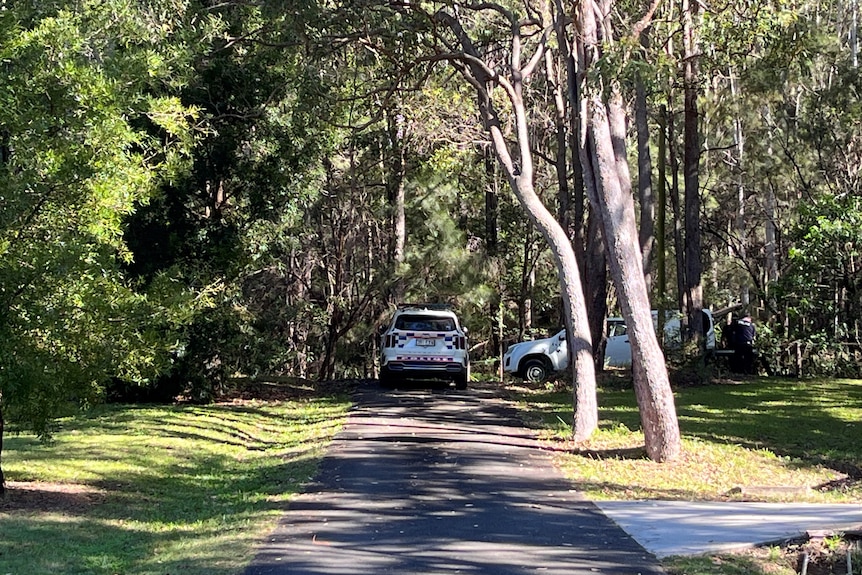 Police cars parked in a nature scene.