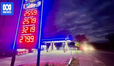 From tax cuts to price gouging crackdowns, how G7 nations are combating the fuel crisis