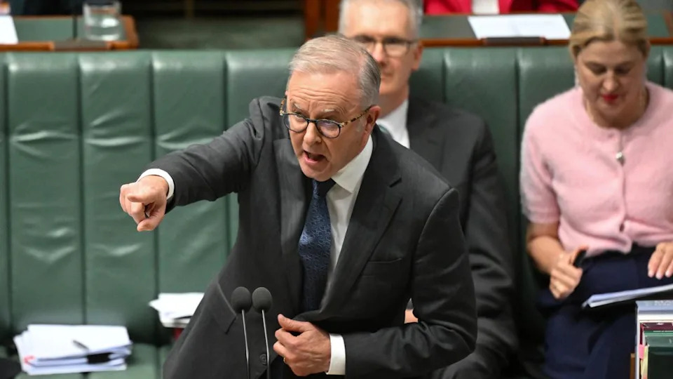Anthony Albanese speaks during Question Time