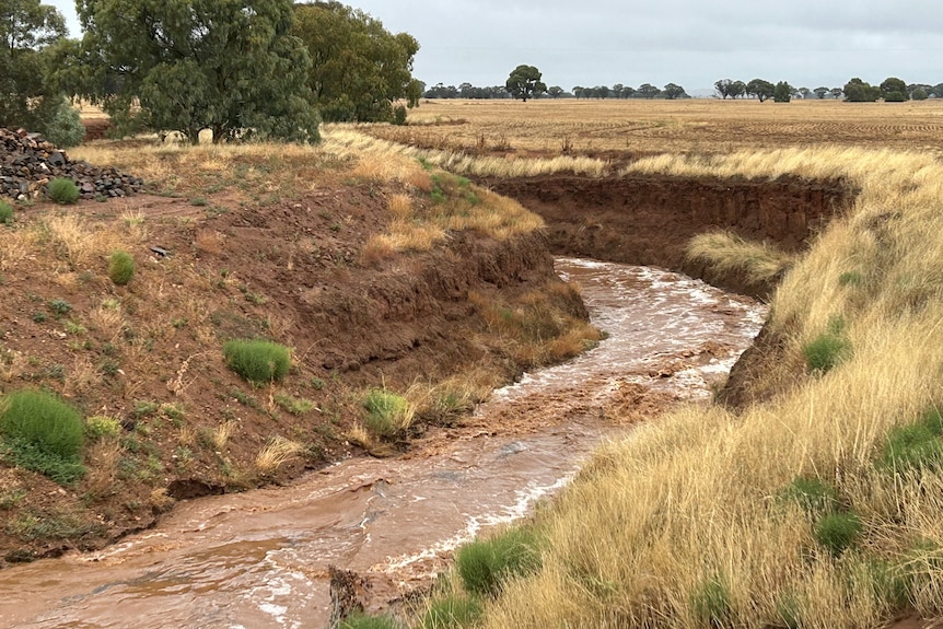 The impact of heavy rain in South Australia.