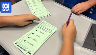 Why One Nation is not winning many lower house seats in the SA election despite its high vote