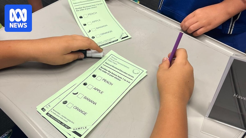 Why One Nation is not winning many lower house seats in the SA election despite its high vote