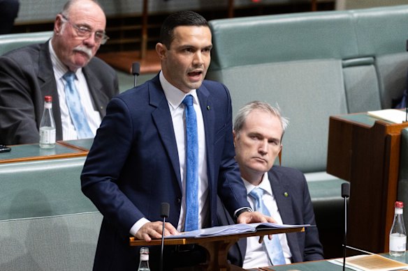 Liberal MP Aaron Violi said Labor was failing to step up to the biggest technological boom in a generation.
