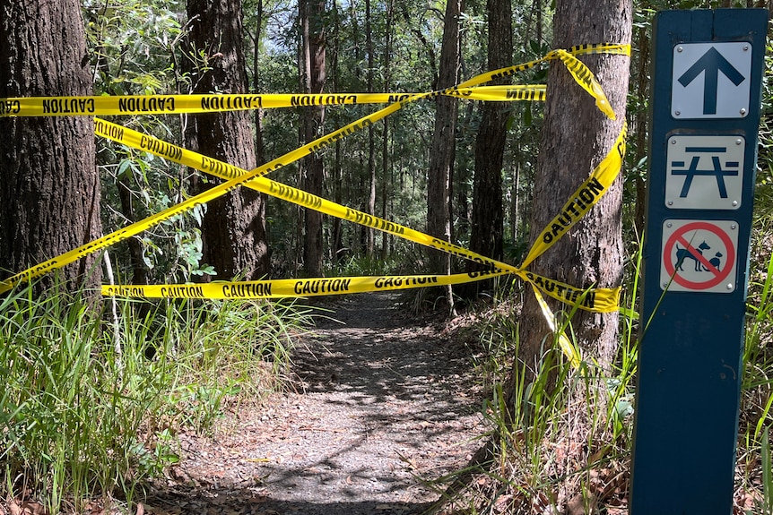 Yellow caution tape tied many ways between two trees to block a walking path.