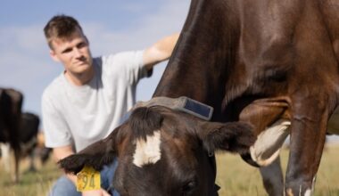Halter tipped for raise at $3.3 billion valuation, Kiwi fund details huge gains