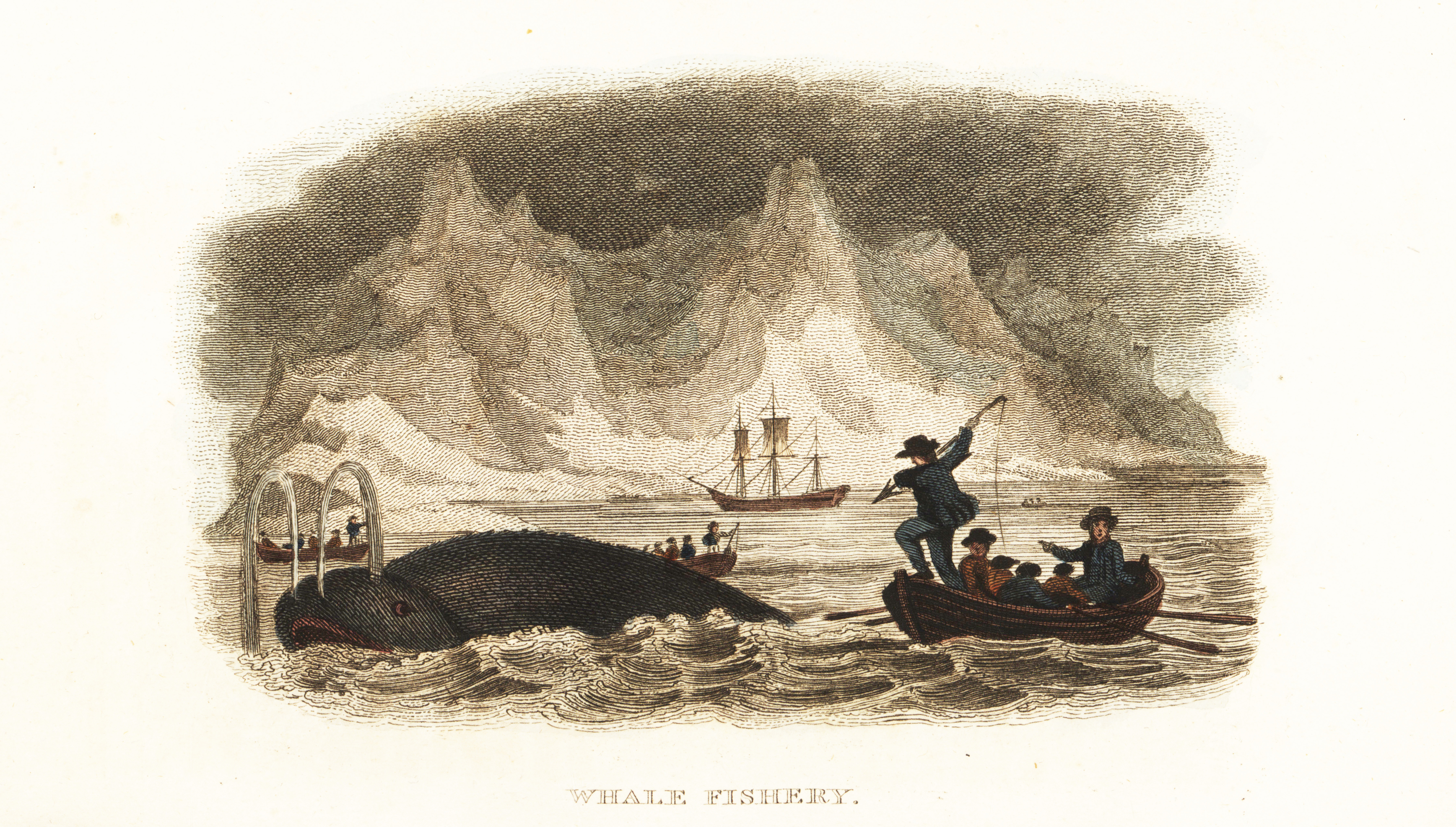 An old woodcut illustration of a ship of men harpooning a whale, with the caption "whale fishery"