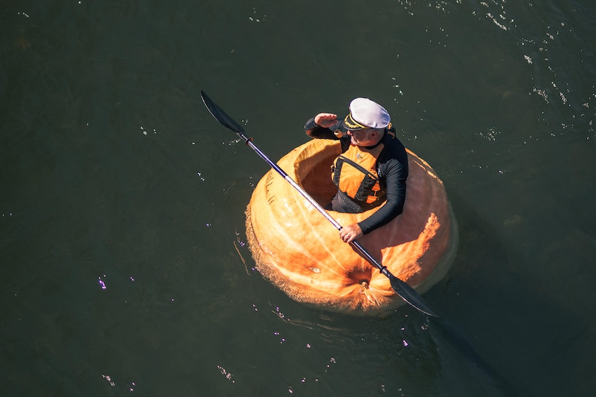 Aerial view of a man rowing a giant pumpkin down a river.