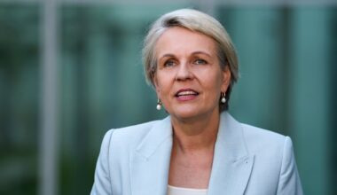 Social Services Minister Tanya Plibersek slams reality show for promoting 'coercive control'