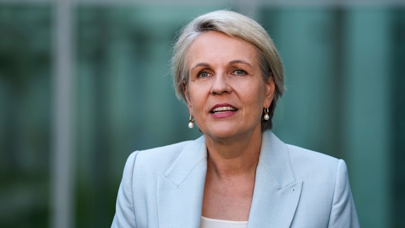 Social Services Minister Tanya Plibersek slams reality show for promoting 'coercive control'