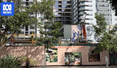 Developers mainly building 'luxury' apartments in Brisbane despite affordable housing demand