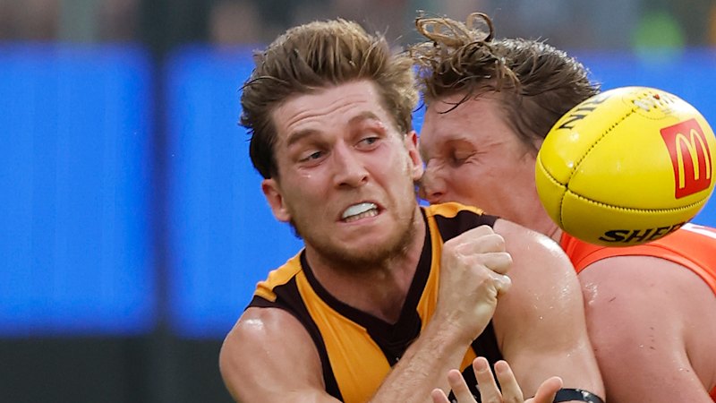 Hawthorn pair Dylan Moore and Connor Macdonald confess they spent night in custody on US trip