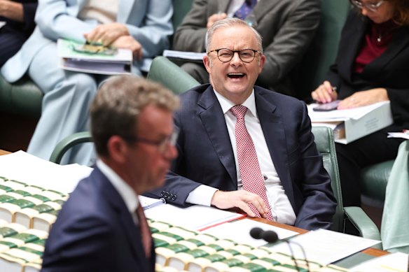 Opposition energy spokesman Dan Tehan and Prime Minister Anthony Albanese.
