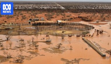 Ex-Tropical Cyclone Narelle brings floods to WA cattle stations after years of drought