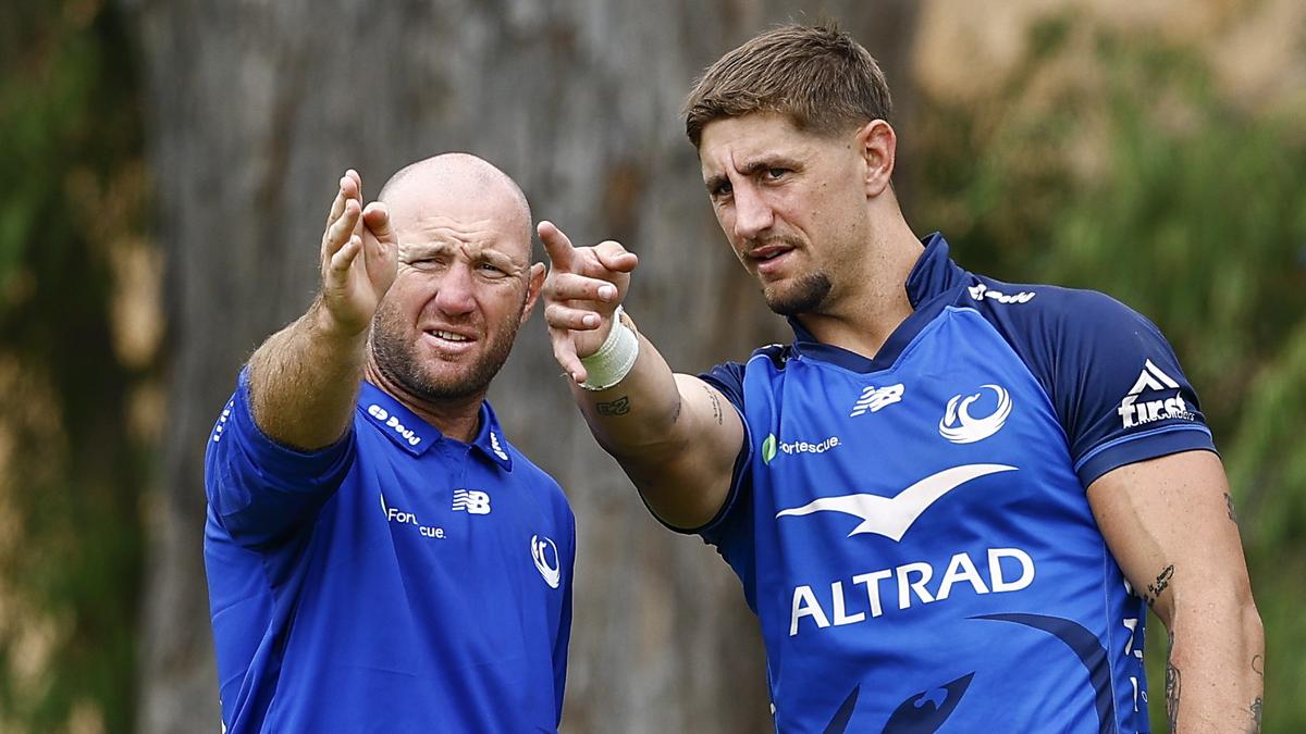 Super Rugby Pacific: Western Force recruit Zac Lomax learning on the fly as Dylan Pietsch return nears