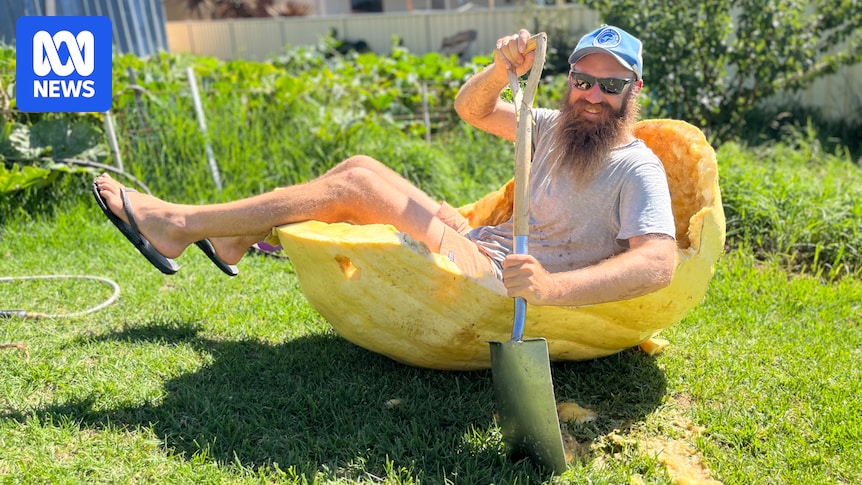 Tumut is hoping to become the giant pumpkin capital of Australia