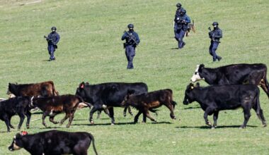 Innocent family sue police over raid