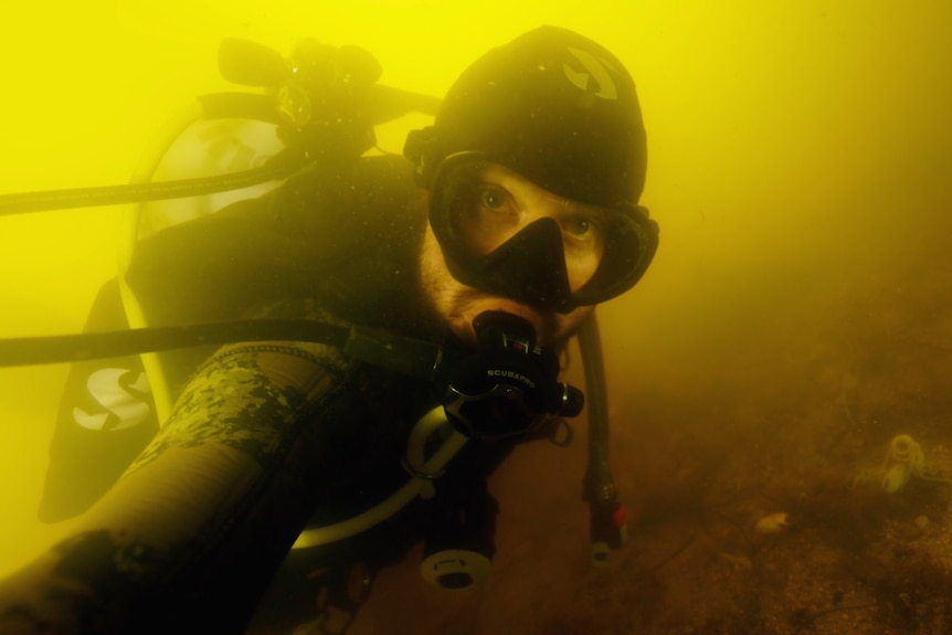 A scuba diver takes a selfie, submerged in yellow water. A dead octoput is on the sea floor near the diver.