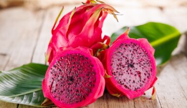 Nutrition Insight logo