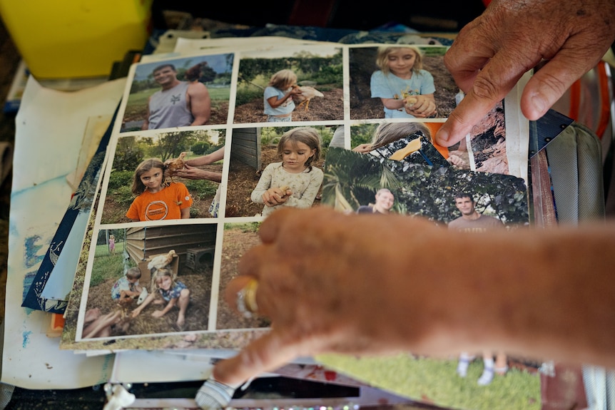 A pile of family photographs.