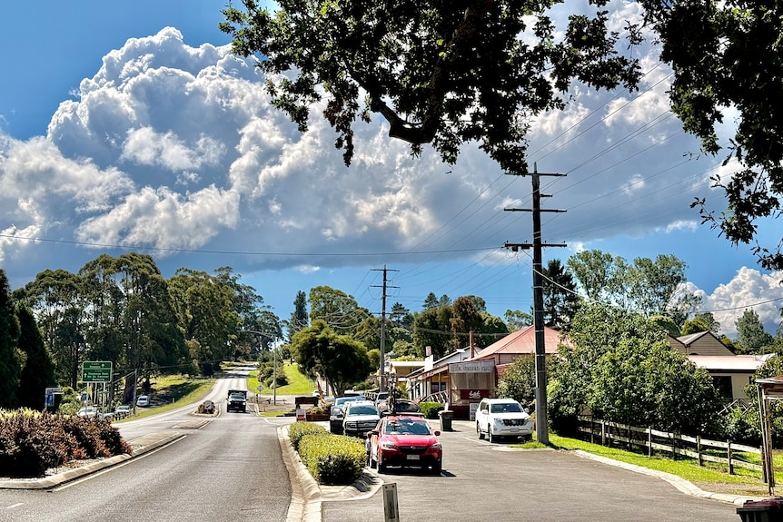 Image of a small country town main street, with small buildings and oak trees. 