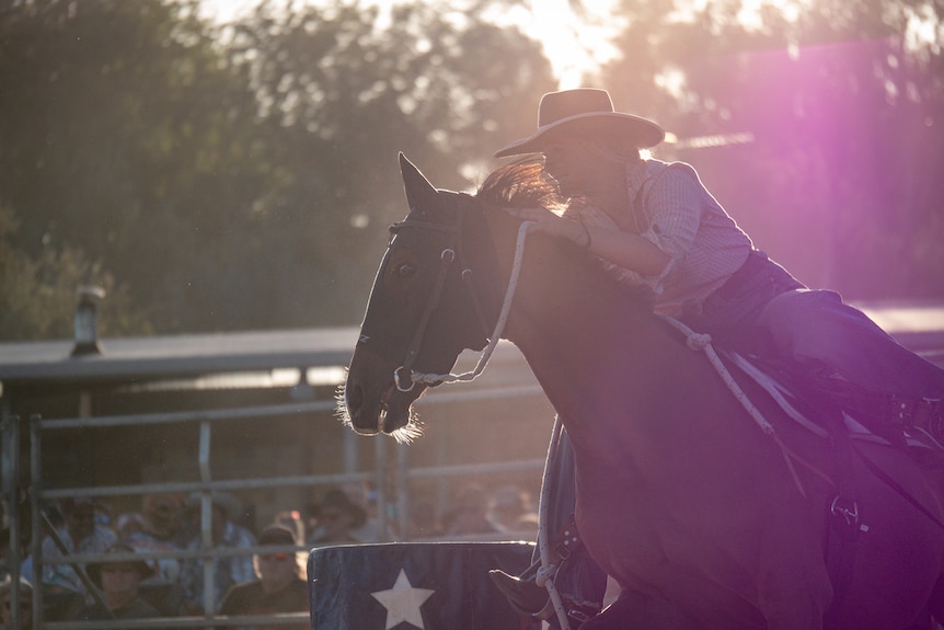 a bacjklit barrel racer