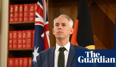 Pauline Hanson exploiting less well-educated Australians, Labor says | Social exclusion