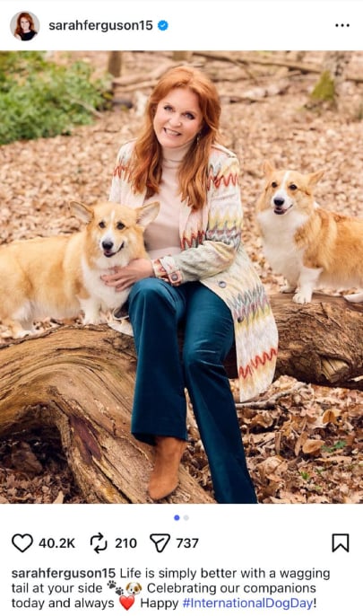 Sarah Ferguson makes urgent statement on TV appearance bombshell