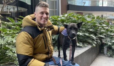 One man, his dog, and ChatGPT: Australia's AI vaccine saga