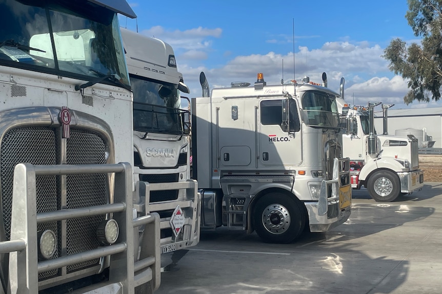 A picture of four trucks lined up next to each other.