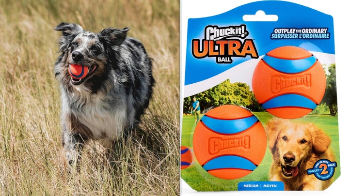 A veterinarian recommended the Chuckit ultra ball as a safer tennis ball alternative.