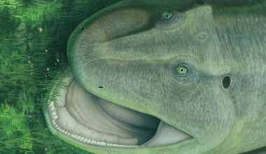 Creature with twisted jaw and sideways-facing teeth discovered - OC Today-Dispatch