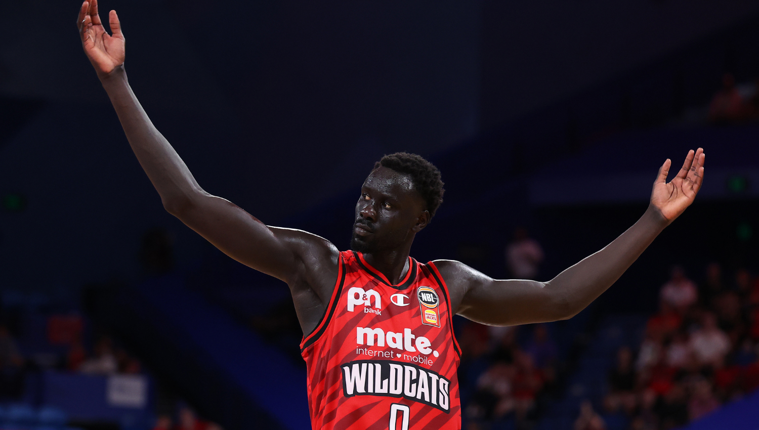 Wildcats feel 'no pressure' ahead of Kings semis clash