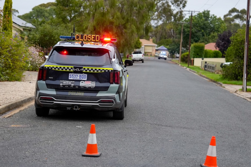 A police car and witchers hats blocked a residential street, houses on both rows