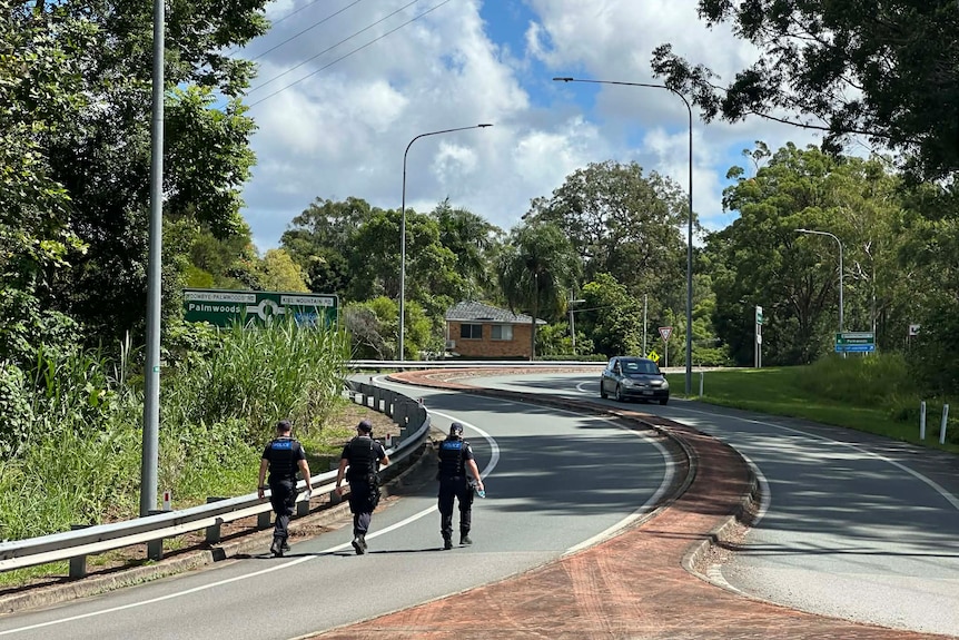 Three police officers walk up a road.