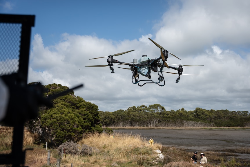 Large drone hovering above wetland