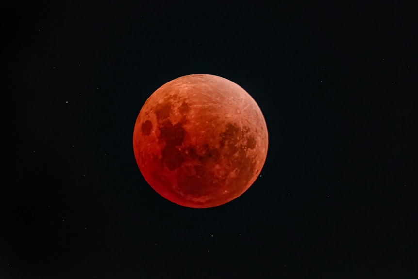 The blood moon is captured in East Fremantle, Perth. 